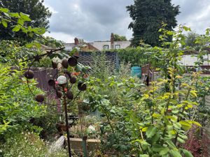 Photo 9- click for photo gallery